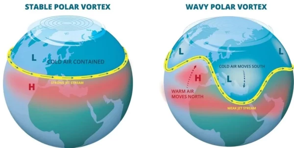 Когда полярный вихрь дестабилизируется, ледяной полярный воздух перемещается в средние широты.