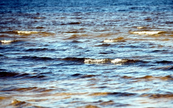 Вода в море по-прежнему теплая