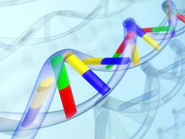 У эмбрионов открыли опасную нестабильность ДНК