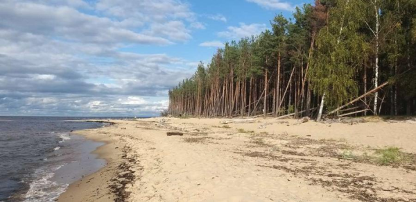 Синоптики предупредили о погоде в воскресенье в Латвии