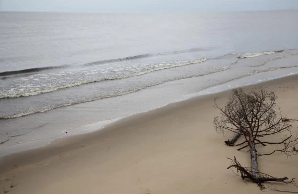 Вода на Курземском побережье местами остыла до семи градусов