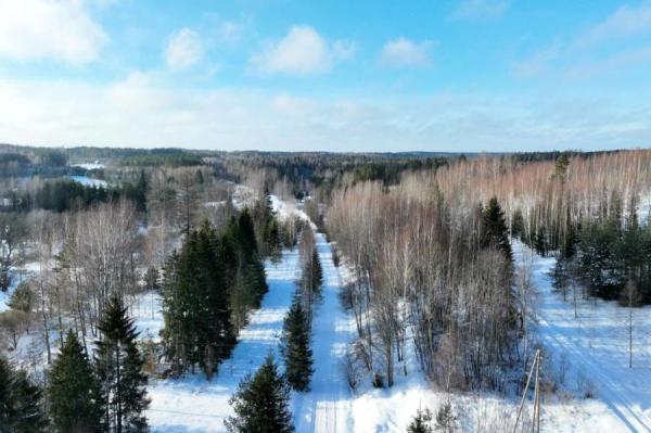 В пятницу солнце будет светить преимущественно в Курземе