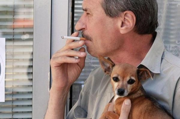 Изображение к статье: Может ли навредить домашним животным пассивное курение?