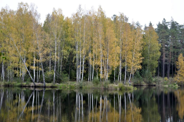 В понедельник будет пасмурно, но преимущественно сухо