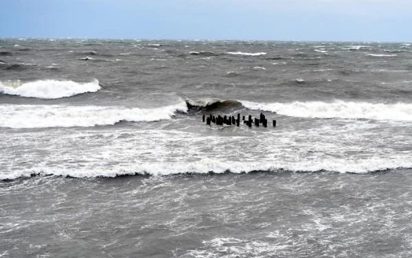 Ученых поразило обнаруженное на дне моря у Вентспилса