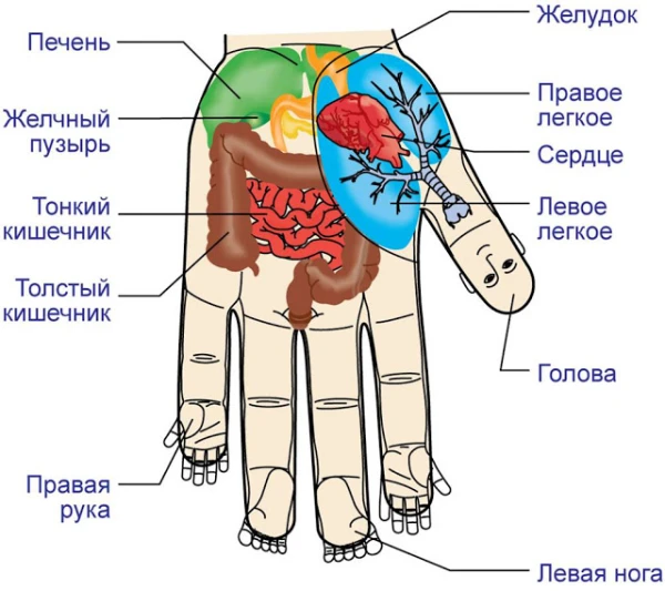 Японский метод лечения за 5 минут