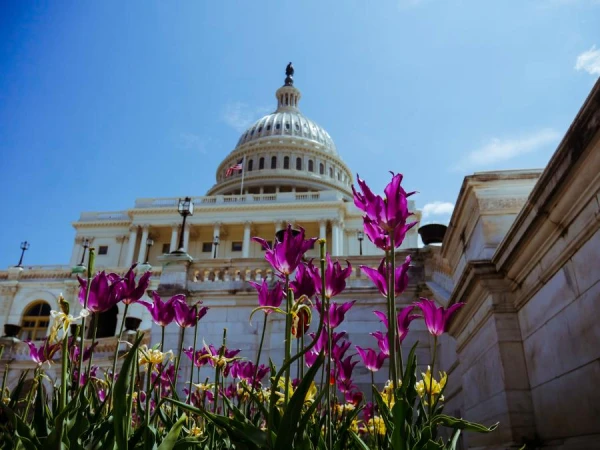 В США республиканцы Трампа получают большинство в Сенате