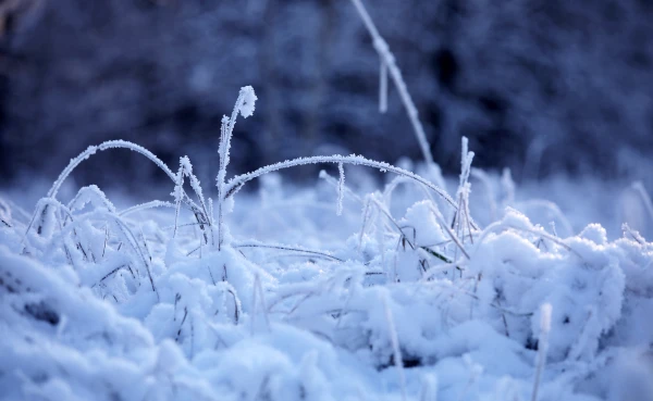 Изображение к статье: В Латвии началась метеорологическая зима