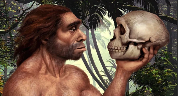 Изображение к статье: Неандертальцы подтверждены как отдельный вид человека