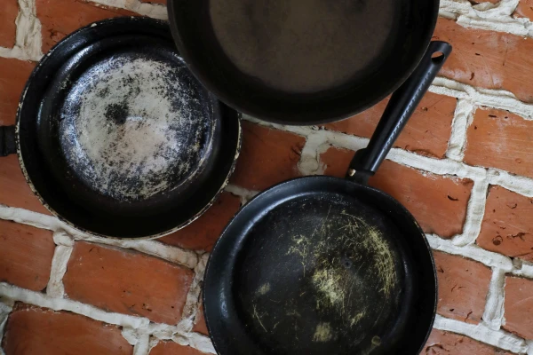 Изображение к статье: Латвиец убил кошку чугунной сковородой; у нее остались двое котят