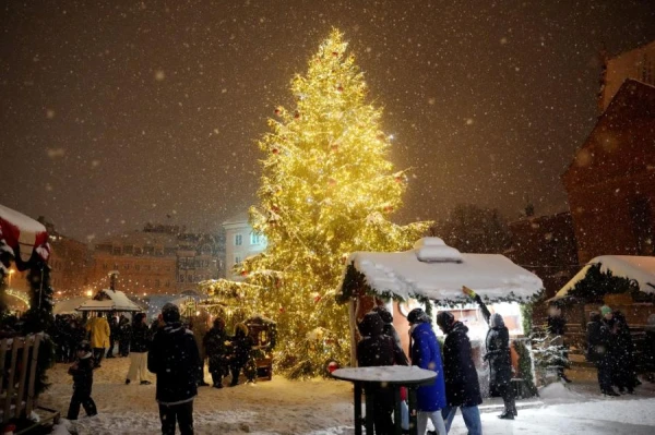 Фасады зданий Старой Риги в новогоднюю ночь украсят рисунки и анимации детей