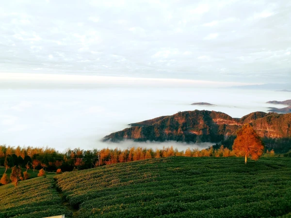 Изображение к статье: Сам остров по своему военному потенциалу не может угрожать Поднебесной.