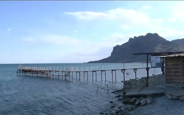 Изображение к статье: Мазут из Черного моря достиг берегов Крыма