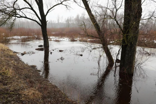 Уровень воды в реках Курземе ниже отметок, достигнутых в начале года