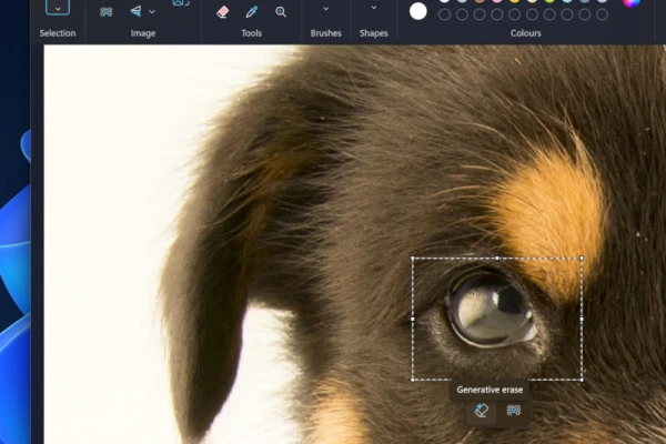 Удаление объектов и фона в Microsoft Paint стало доступным всем пользователям Windows 11