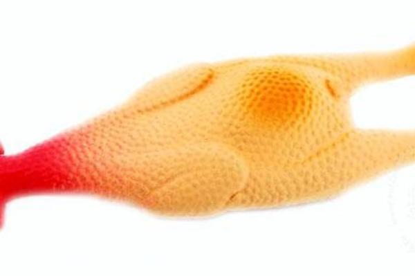 Изображение к статье: Почему собаки просто обожают пищащие игрушки?