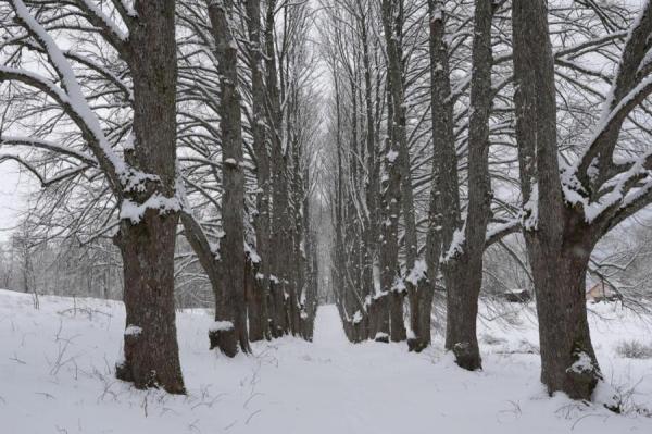 Начало февраля было на два градуса теплее нормы