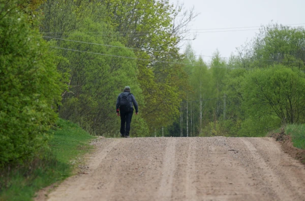 Изображение к статье: В понедельник будет дождливо лишь местами