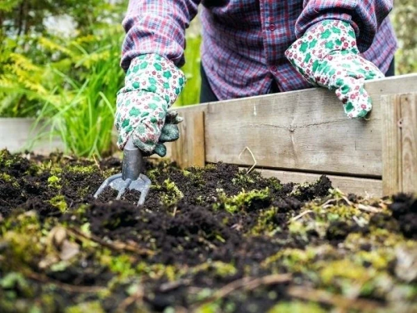 Изображение к статье: Народные приметы на 29 апреля — Ирина-рассадница