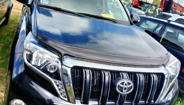 Изображение к статье: От авто до цветов: где власти Латвии продают конфискованные товары