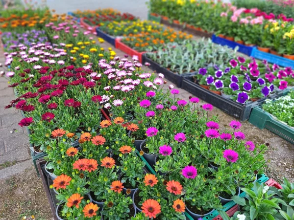 Изображение к статье: Подготовься к садовому сезону с вдохновением на выставке!