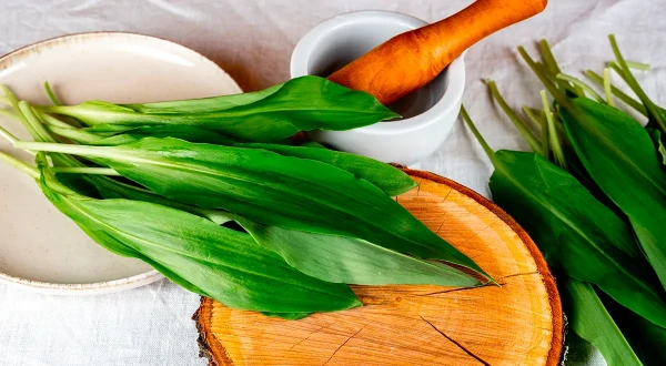 Изображение к статье: Черемша: чем полезна и вредна и как ее есть