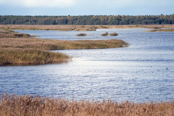 Изображение к статье: Для рыбалки на озере Каниерис больше не нужны дополнительные лицензии