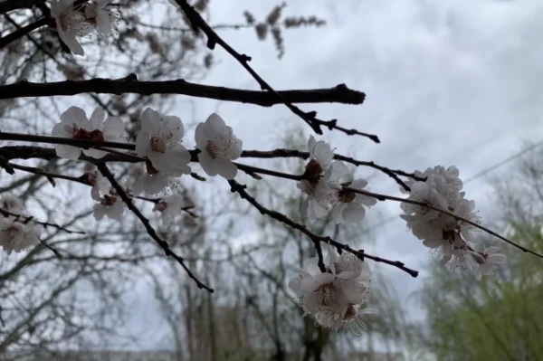 Изображение к статье: Творческие личности по-разному воспринимают времена года