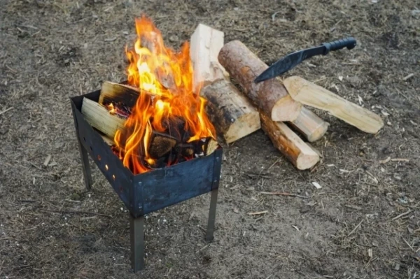 Изображение к статье: Для быстрой жарки и долгого запекания. Какие дрова нужно взять для мангала