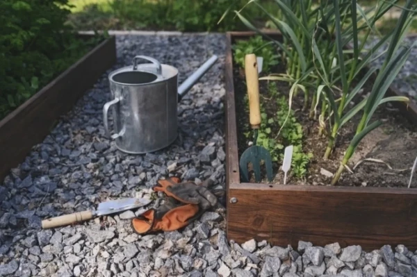 Изображение к статье: Дешевле и практичнее. Не совершайте ошибки: крутая замена навозу весной