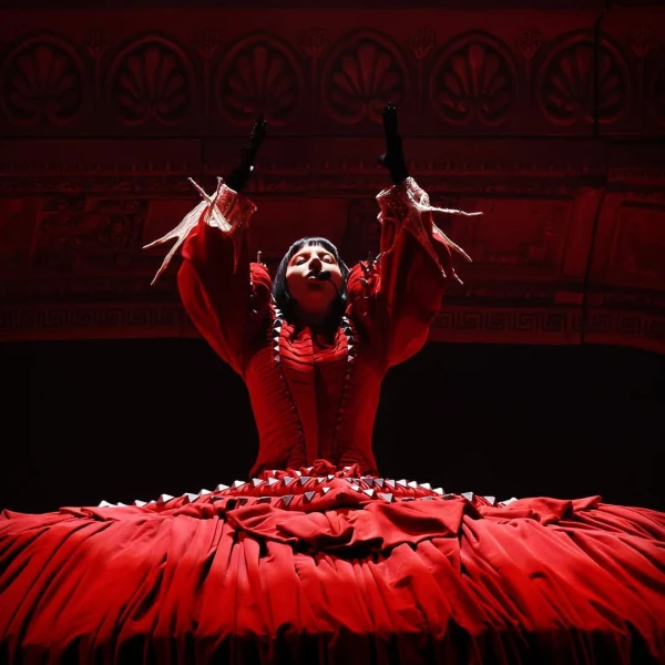 Изображение к статье: x.com/ladygaga