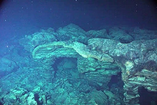 Изображение к статье: Фото: NOAA NeMo Observatory