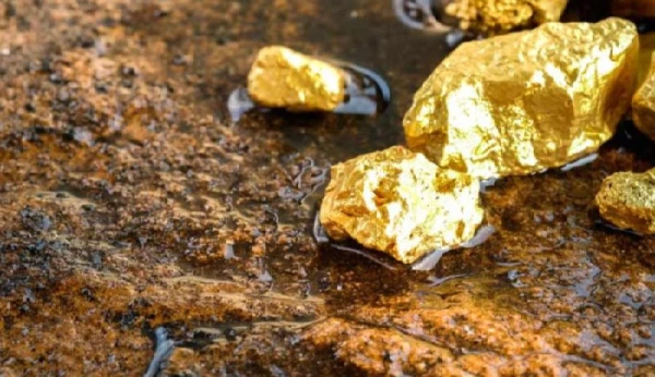 Изображение к статье: В провинции Сальта началась золотая лихорадка.