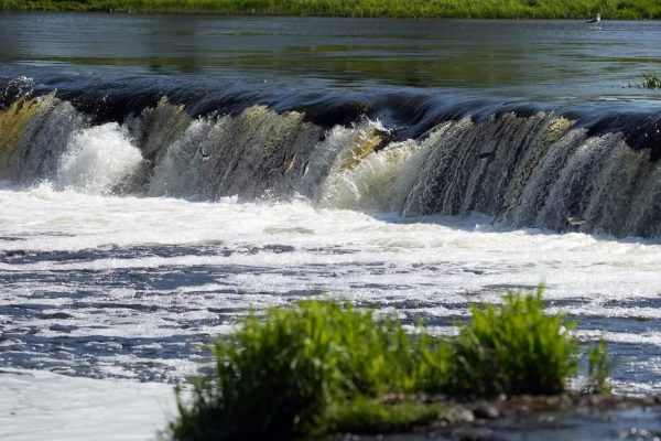 Изображение к статье: Апрель в Латвии стал пятым самым тёплым в истории наблюдений