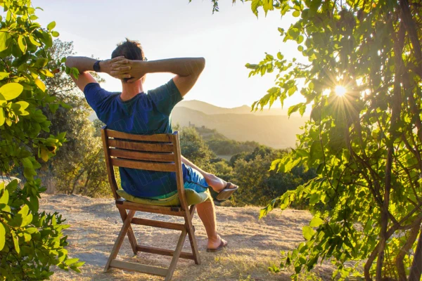 Изображение к статье: Природа как антидепрессант: преимущества прогулок на свежем воздухе