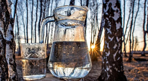 Изображение к статье: Народные приметы на 11 мая — Максимов день