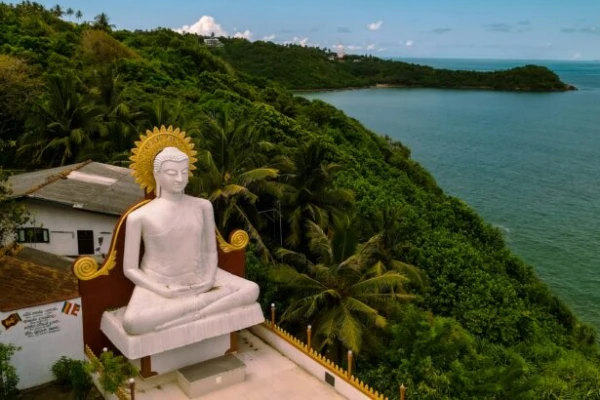 Изображение к статье: В Шри-Ланке автобус упал в пропасть