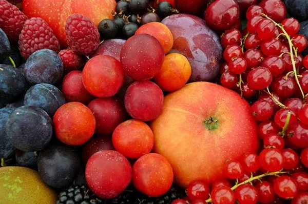 Изображение к статье: Что делать весной, чтобы летом был хороший урожай ягод?