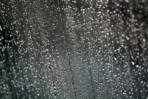 Изображение к статье: В ближайшую неделю осадки прогнозируются ежедневно