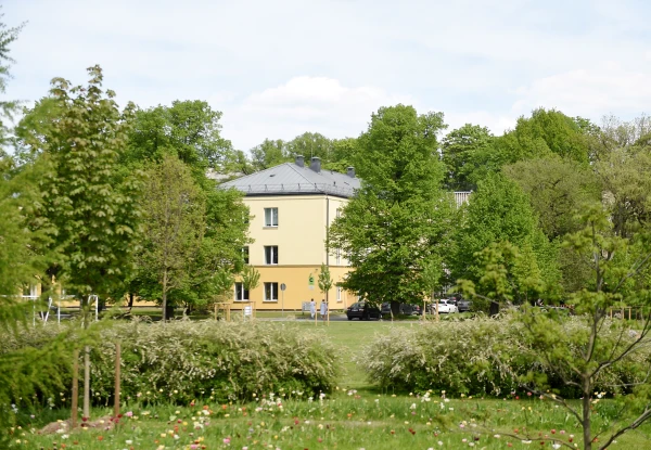 Изображение к статье: Вся безумная больница: Минздрав ЛР начинает реформу ухода за душевнобольными