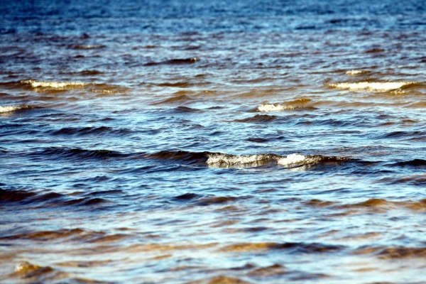 ВМС Эстонии пытались задержать танкер «теневого флота» России