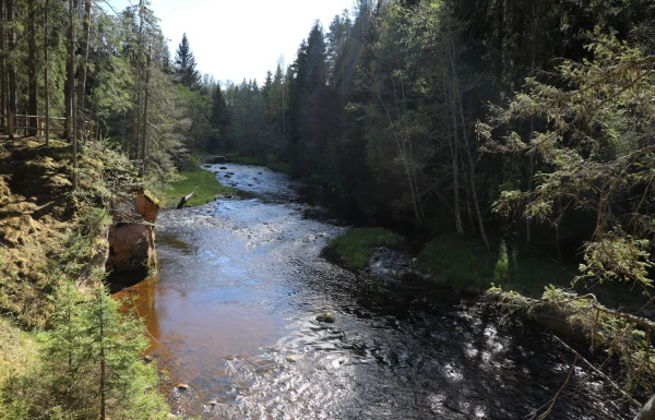 Изображение к статье: А вы не знали? В Латвии открылся купальный сезон