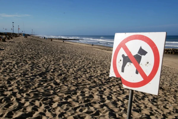 Изображение к статье: Собакам на юрмальских пляжах не место – пять причин
