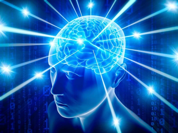 Изображение к статье: Самый умный что ли? Умственные способности по знаку Зодиака