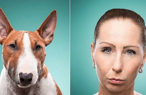 Изображение к статье: Ученые выяснили, почему собаки похожи на своих хозяев