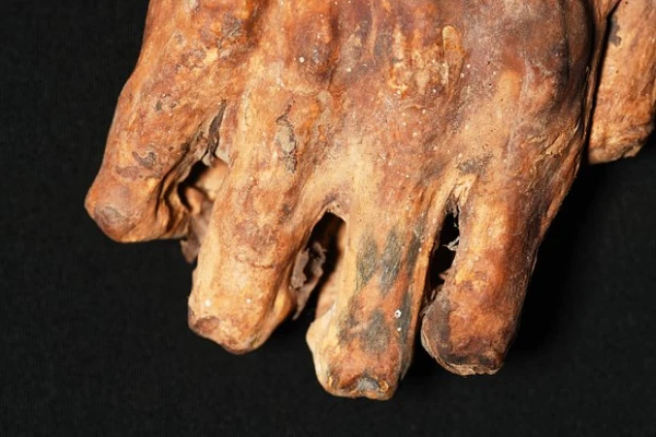 Изображение к статье: Разгадана загадка татуировки на древней мумии