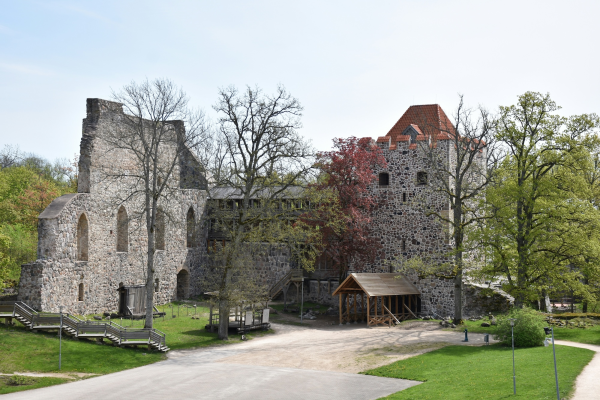 Fohisha Mishel Olesya