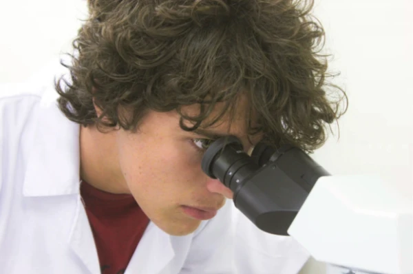 Изображение к статье: Найден способ борьбы с непереносимостью глютена