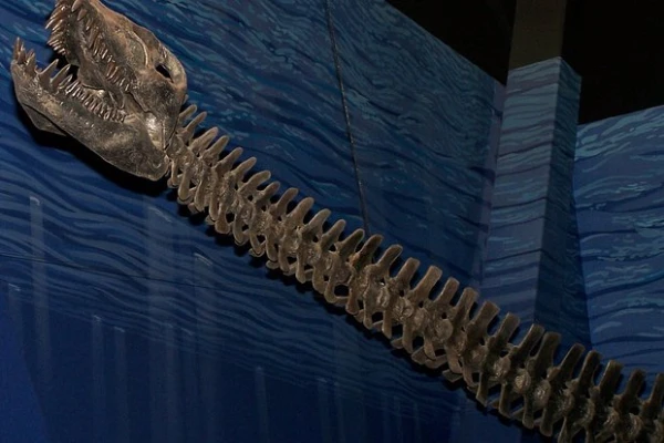 Изображение к статье: Архивное фото. Фото: Wikipedia