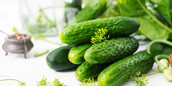 Изображение к статье: Хрустящие  малосольные огурчики на скорую руку